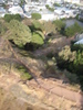 Blurry shot of the steps leading up to the Corona Heights Park peak.