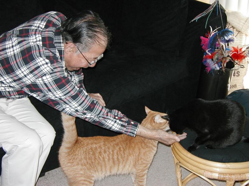 My dad trying to feed Moy-chan while Zeus tries to steal the treats away