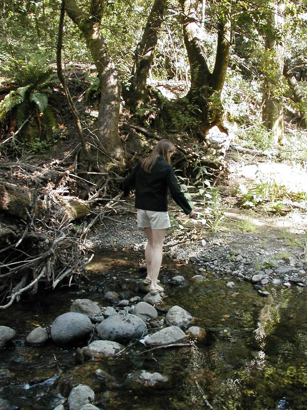 Holly explores a Windy Hill creek