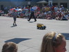 Some random little kid with his remote control H2 (pretty low bar to enter a small town parade, I guess)