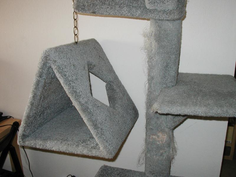 Our cat tree features a dangling triangle most cats hate...
