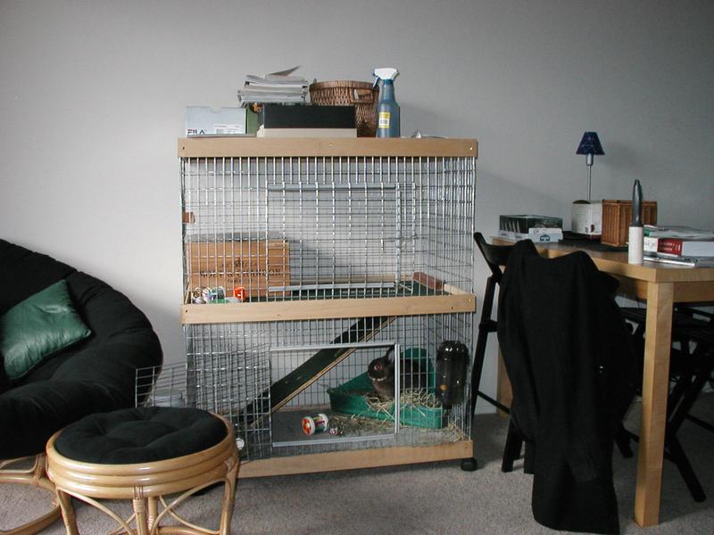 This is Neko's two-story Bunny Abode condo